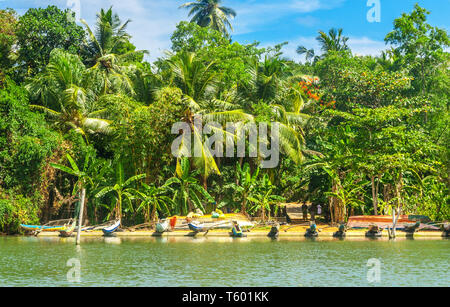 Fisherboats am Ufer des Koggala See von Einheimischen gehört, Galle, Sri Lanka Stockfoto