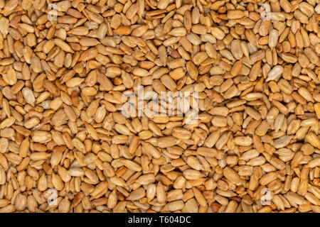 Essen Textur Hintergrund von Sonnenblumenkernen, Ansicht von oben. Stockfoto