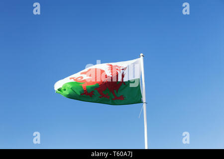 Der Rote Drache Flagge von Wales auf blauen wolkenlosen Himmel Hintergrund. Stockfoto