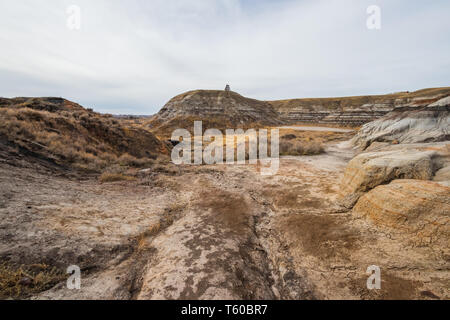 Der Stern Meine Suspension Bridge ist eine 117 Meter lange Fußgänger-Hängebrücke über den Red Deer River in Drumheller, Alberta, Kanada. Im Jahr 1931 konstruierte, Travel Alberta Stockfoto