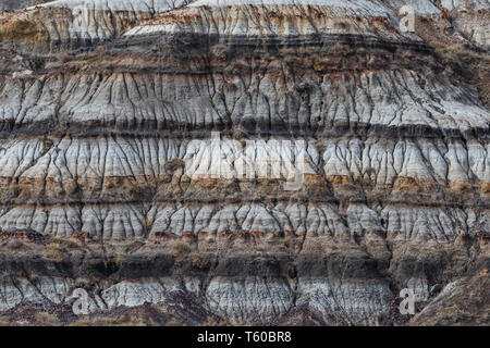 Der Stern Meine Suspension Bridge ist eine 117 Meter lange Fußgänger-Hängebrücke über den Red Deer River in Drumheller, Alberta, Kanada. Im Jahr 1931 konstruierte, Travel Alberta Stockfoto