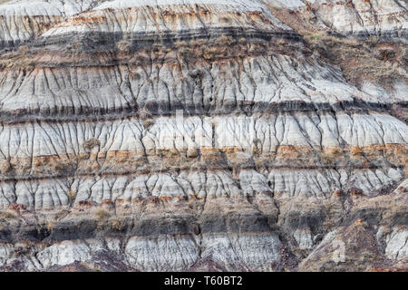 Der Stern Meine Suspension Bridge ist eine 117 Meter lange Fußgänger-Hängebrücke über den Red Deer River in Drumheller, Alberta, Kanada. Im Jahr 1931 konstruierte, Travel Alberta Stockfoto