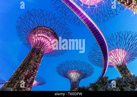 Die Super Bäume in Gärten durch die Bucht, Singapur. Stockfoto