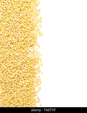 Goldene Hirse, glutenfreie Getreide Saatgut, Rand auf weißem Hintergrund Draufsicht von oben Stockfoto