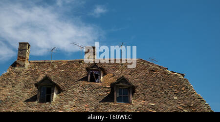 Alte Dachziegel mit TV-Antenne und Schornsteine Stockfoto