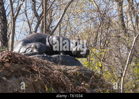 "Noch Hunt" Cougar Skulptur, Ost fahren, "Cat Hill', Central Park, New York Stockfoto