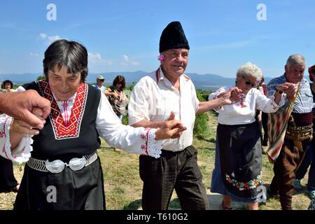 Ernte Rosen - Rose Festival in Kasanlak. Provinz von Stara Zagora BULGARIEN Stockfoto