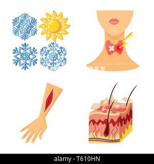 Schneeflocke, endokrinen, Verletzung, Haut, fällt, System, arm, Epidermis, Eis, Hals, Fettgewebe, Winter, Anatomie, Blut, Gewebe, Schnee, Körper, Schneefall, menschlich, Hand, Pore, gefroren, Schilddrüse, Behandlung, Follikel, Sonne, Haar, Hitze, Wunde, Kabelverschraubung, Brennen, Schmerzen, Dermatologie, Krankheit, Gesundheitswesen, medizinische, Set, Vector, Icon, Illustration, isoliert, Sammlung, Design, Element, Grafik, Zeichen, Cartoon, Farbe Vektor Vektoren, Stock Vektor