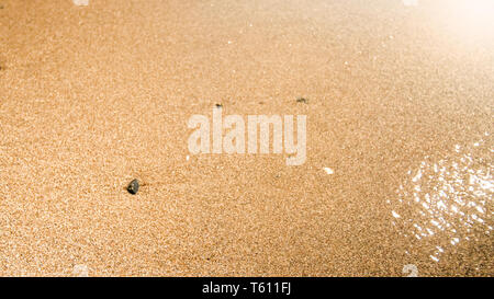 Closeup abstrakten Foto von nassen Sand und ruhigem Meer am Strand Stockfoto