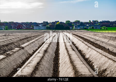 Feld, Bauernhof, den Anbau und die landwirtschaftliche Konzept: Blick in den Furchen des Feldes auf dem Bauernhof, für die Anpflanzung von Gemüse zubereitet. Stockfoto