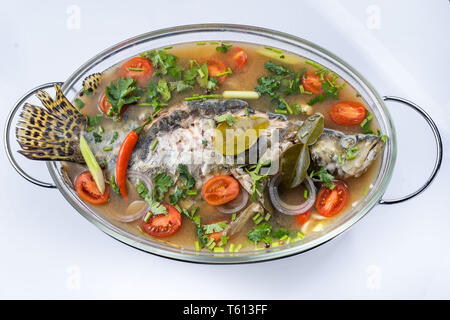 Gebratene gedünsteter Zackenbarsch in Kalk Suppe, Sauce. Stockfoto