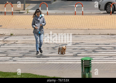 Cordoba, Spanien - 23 April, 2019: Junge Frau zu Fuß durch eine Kreuzung gehen Sie mit ihrem kleinen Hund Stockfoto