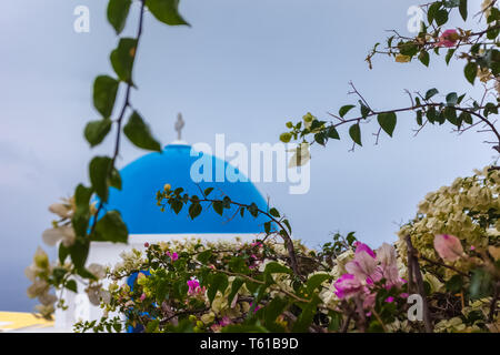 Detail der blauen Kuppel und Bougainvillea im Ort Oia auf eine seltene regnerischen Tag, Santorini, Griechenland Stockfoto