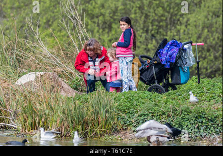 Frau mit 2 Kinder durch einen See Fütterung Vögel und Enten an einem warmen Tag im Frühjahr in Großbritannien. Stockfoto