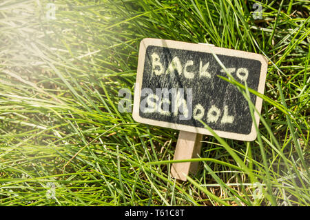 Sonnenlicht fällt auf dem grünen Rasen und die Tafel mit der Inschrift zurück in die Schule. Der Begriff der Bildung, Ausbildung, Lehrer Tag. Stockfoto