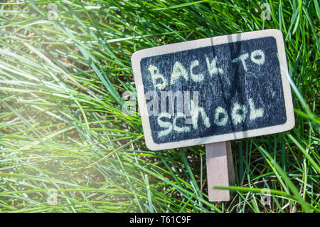 Sonnenlicht fällt auf dem grünen Rasen und die Tafel mit der Inschrift zurück in die Schule. Der Begriff der Bildung, Ausbildung, Lehrer Tag. Stockfoto