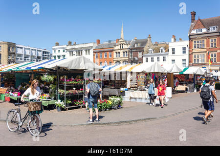 Stände in Cambridge, Markt, Marktplatz, Cambridge, Cambridgeshire, England, Vereinigtes Königreich Stockfoto