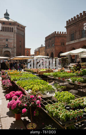 Cremona: veduta della Piazza del Comune e del Battistero nel giorno di Mercato. [ENG] Cremona: Blick auf die Piazza del Comune und das Baptisterium in der Stockfoto