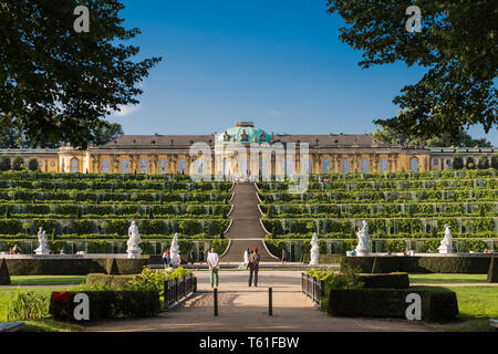 Das Schloss Sanssouci und Weinstock Terrassen vor ihm. Potsdam. Deutschland Stockfoto