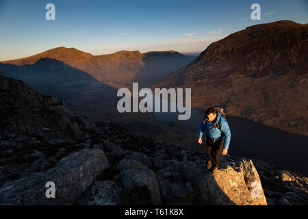 Person, die Kriechen, Klettern Welsh Mountain versuchen, Ventilator im Morgenlicht Stockfoto