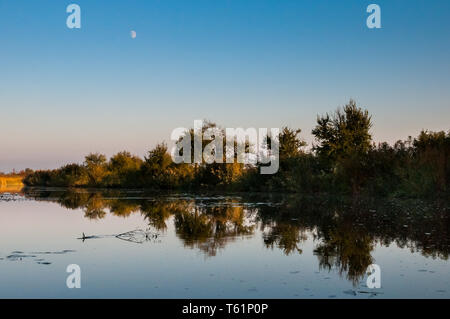 Bootsfahrten auf dem Fluss Hortobágy in der Großen Ungarischen Tiefebene Stockfoto