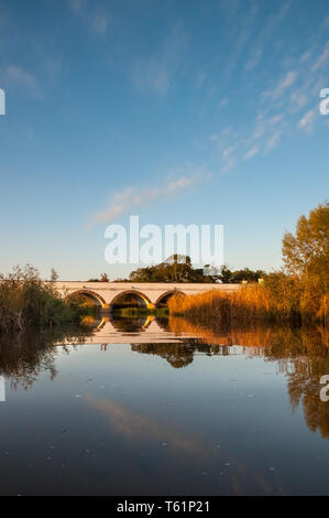 Bootsfahrten auf dem Fluss Hortobágy in der Großen Ungarischen Tiefebene Stockfoto