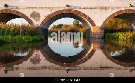 Bootsfahrten auf dem Fluss Hortobágy in der Großen Ungarischen Tiefebene Stockfoto