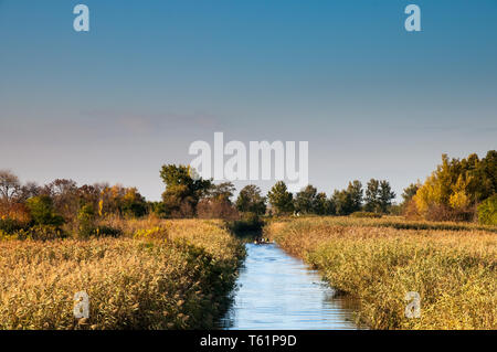 Bootsfahrten auf dem Fluss Hortobágy in der Großen Ungarischen Tiefebene Stockfoto