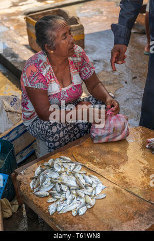 Auf der Suche nach Zuflucht vor der Hitze des Tages, eine Frau schließt das Abkommen auf den Verkauf einer Tasche silber Fisch bei Negombo Fischmarkt in Sri Lanka. Stockfoto