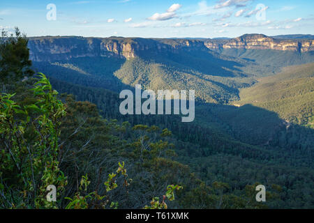 Valley view Aussichtspunkt, Blue Mountains National Park, New South Wales, Australien Stockfoto