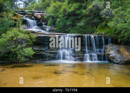 Wasserfall auf der Spencer Court gehen, Blue Mountains National Park, New South Wales, Australien Stockfoto