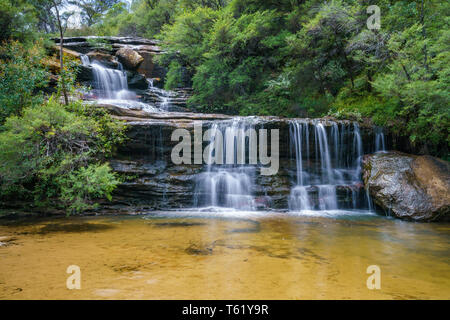 Wasserfall auf der Spencer Court gehen, Blue Mountains National Park, New South Wales, Australien Stockfoto