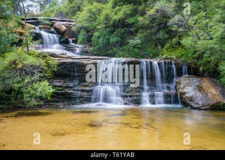 Wasserfall auf der Spencer Court gehen, Blue Mountains National Park, New South Wales, Australien Stockfoto