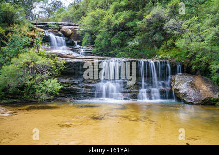 Wasserfall auf der Spencer Court gehen, Blue Mountains National Park, New South Wales, Australien Stockfoto