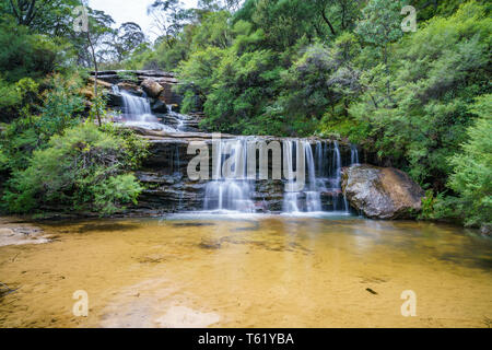 Wasserfall auf der Spencer Court gehen, Blue Mountains National Park, New South Wales, Australien Stockfoto