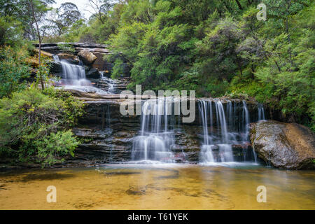 Wasserfall auf der Spencer Court gehen, Blue Mountains National Park, New South Wales, Australien Stockfoto