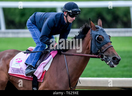 Louisville, Kentucky, USA. 28 Apr, 2035. LOUISVILLE, Kentucky - 28. April: Champagne Jedermann, ausgebildet von Ian Wilkes, Übungen zur Vorbereitung auf die Kentucky Eichen in der Churchill Downs in Louisville, Kentucky am 28. April 2019. John voorhees/Eclipse Sportswire/CSM/Alamy leben Nachrichten Stockfoto