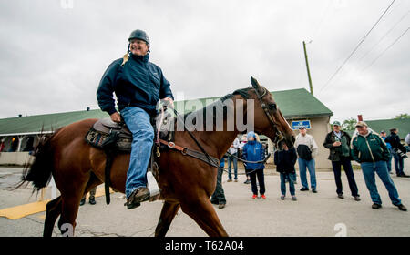 Louisville, Kentucky, USA. 28 Apr, 2019. LOUISVILLE, Kentucky - 28. April: Trainer Bill Mott Köpfe zu dem Titel beim morgendlichen Training auf Churchill Downs in Louisville, Kentucky am 28. April 2019. Scott Serio/Eclipse Sportswire/CSM/Alamy leben Nachrichten Stockfoto