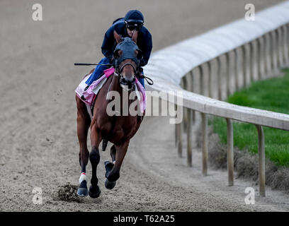 Louisville, Kentucky, USA. 28 Apr, 2035. LOUISVILLE, Kentucky - 28. April: Champagne Jedermann, ausgebildet von Ian Wilkes, Übungen zur Vorbereitung auf die Kentucky Eichen in der Churchill Downs in Louisville, Kentucky am 28. April 2019. John voorhees/Eclipse Sportswire/CSM/Alamy leben Nachrichten Stockfoto