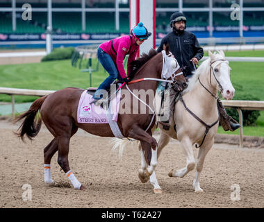 Louisville, Kentucky, USA. 28 Apr, 2019. LOUISVILLE, Kentucky - 28. April: Street Band, ausgebildet von Larry Jones, Übungen zur Vorbereitung auf die Kentucky Eichen in der Churchill Downs in Louisville, Kentucky am 28. April 2019. Scott Serio/Eclipse Sportswire/CSM/Alamy leben Nachrichten Stockfoto