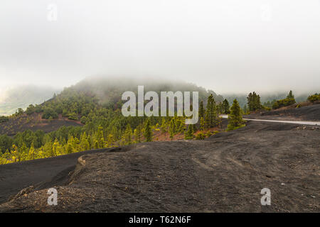 Tradewind Wolken und Regen durch die Lava Landschaft mit Pinien von La Palma in der Nähe des Mirador Llano del Jable im Zentrum der Insel. Stockfoto