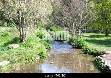 Fluss Zitrone Spaziergänge Stockfoto