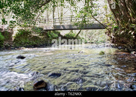 Fluss Zitrone Spaziergänge Stockfoto