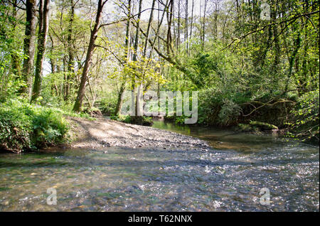 Fluss Zitrone Spaziergänge Stockfoto