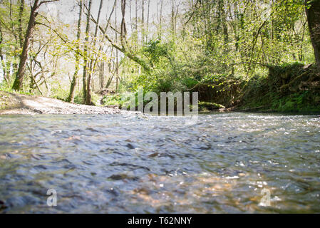 Fluss Zitrone Spaziergänge Stockfoto