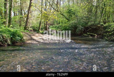 Fluss Zitrone Spaziergänge Stockfoto