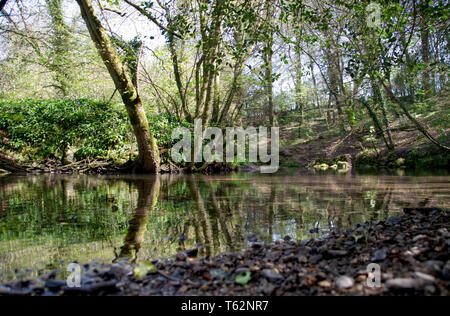 Fluss Zitrone Spaziergänge Stockfoto