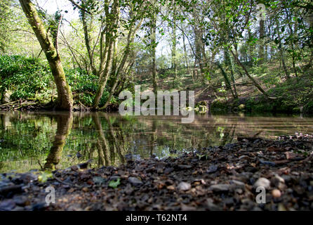 Fluss Zitrone Spaziergänge Stockfoto