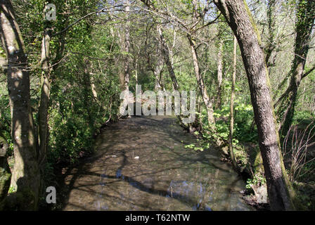 Fluss Zitrone Spaziergänge Stockfoto