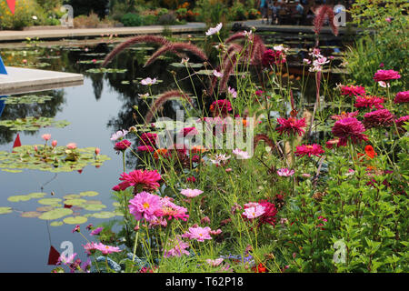 Rosa und Orange zinnias, Kosmos und roten Brunnen Gras wachsen vor einem großen Teich mit Wasser, Pflanzen und Blumen Stockfoto